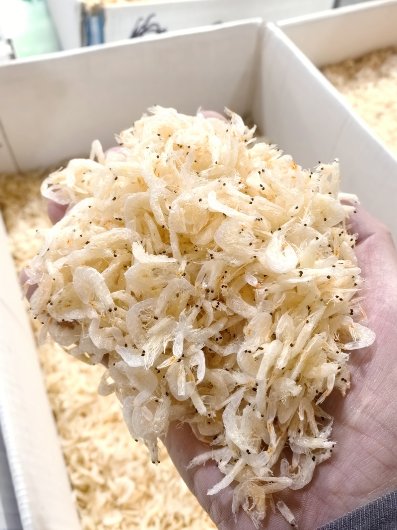 整箱淡干虾皮厂家批发海鲜虾皮制品干货补钙赶集摆摊跑江湖虾