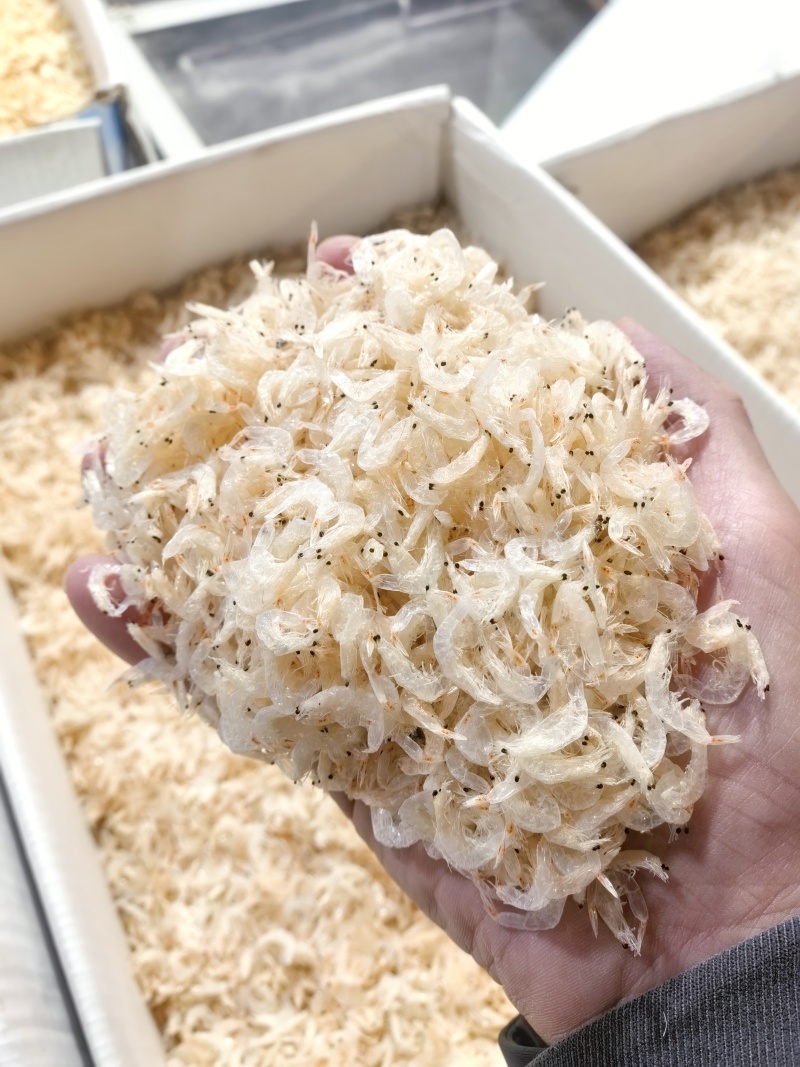 整箱淡干虾皮厂家批发海鲜虾皮制品干货补钙赶集摆摊跑江湖虾