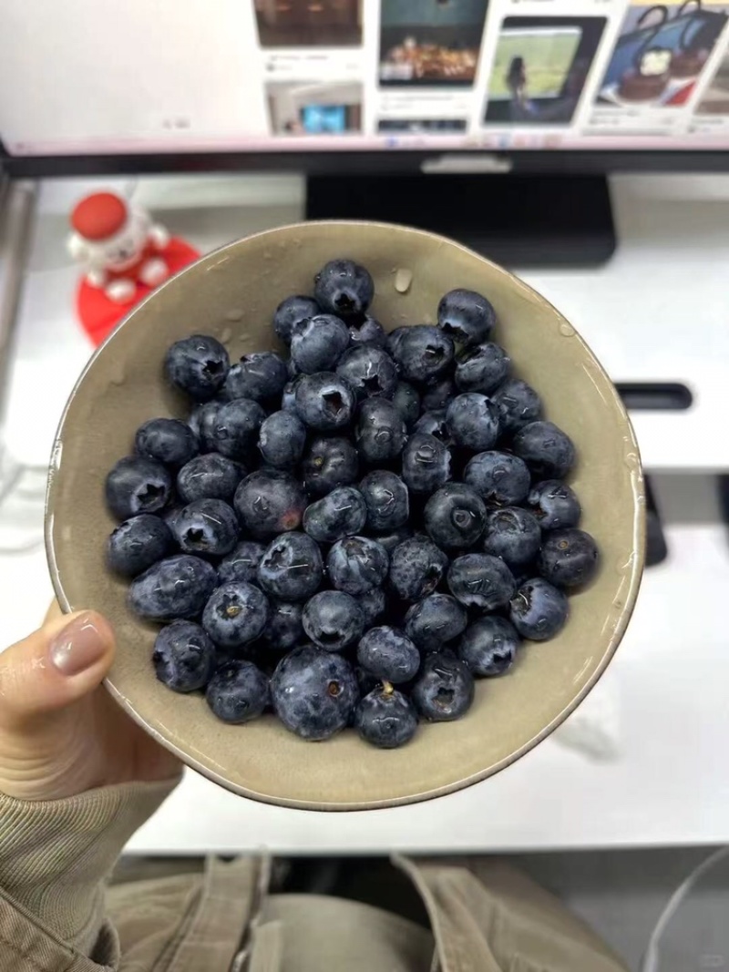 花香巨无霸蓝莓云南高山蓝莓电商一件代发