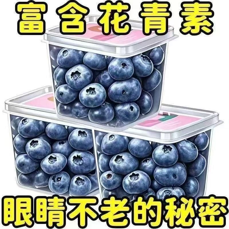 花香巨无霸蓝莓云南高山蓝莓电商一件代发