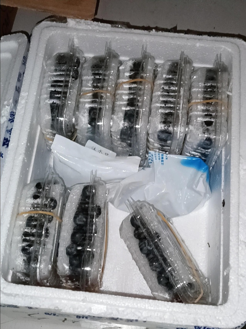 【电商代发】云南花香蓝莓产地直发一件代发