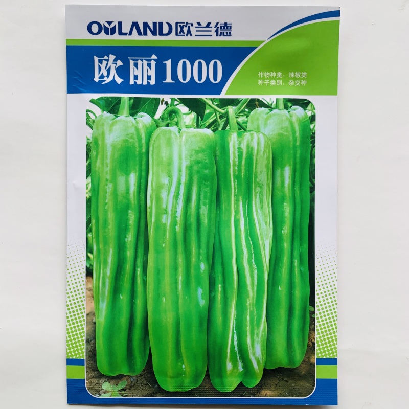 欧丽1000薄皮泡椒种子早熟浅绿色软皮微辣春秋青椒种籽