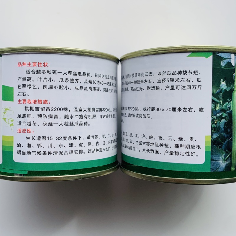 冬优美丝瓜种籽越冬一大茬丝瓜种子抗病高产长丝瓜种子拔节短