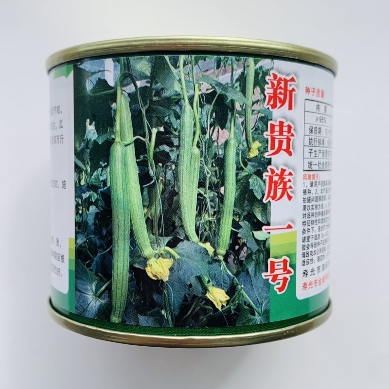 冬优美丝瓜种籽越冬一大茬丝瓜种子抗病高产长丝瓜种子拔节短