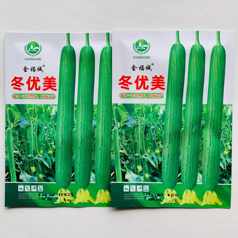 冬优美丝瓜种籽越冬一大茬丝瓜种子抗病高产长丝瓜种子拔节短