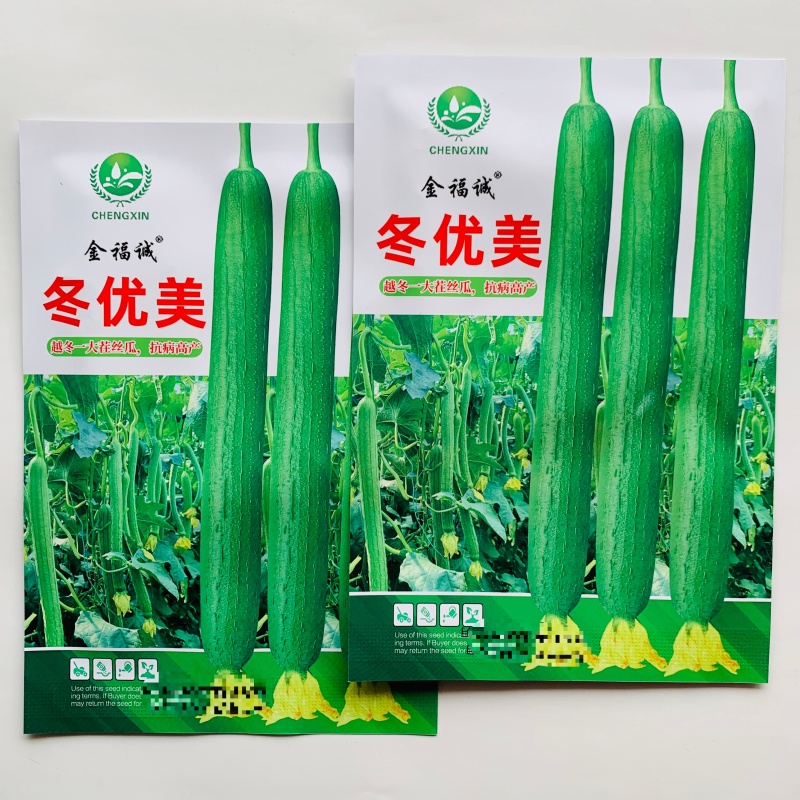 冬优美丝瓜种籽越冬一大茬丝瓜种子抗病高产长丝瓜种子拔节短
