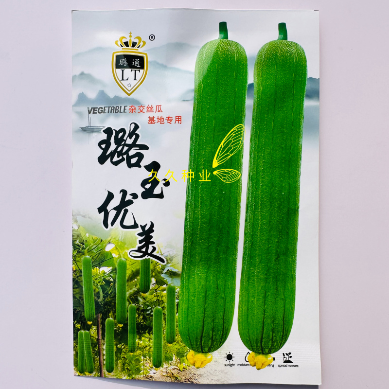 璐玉优美丝瓜种子高产早熟清香丝瓜种子果型顺直肉厚腔小