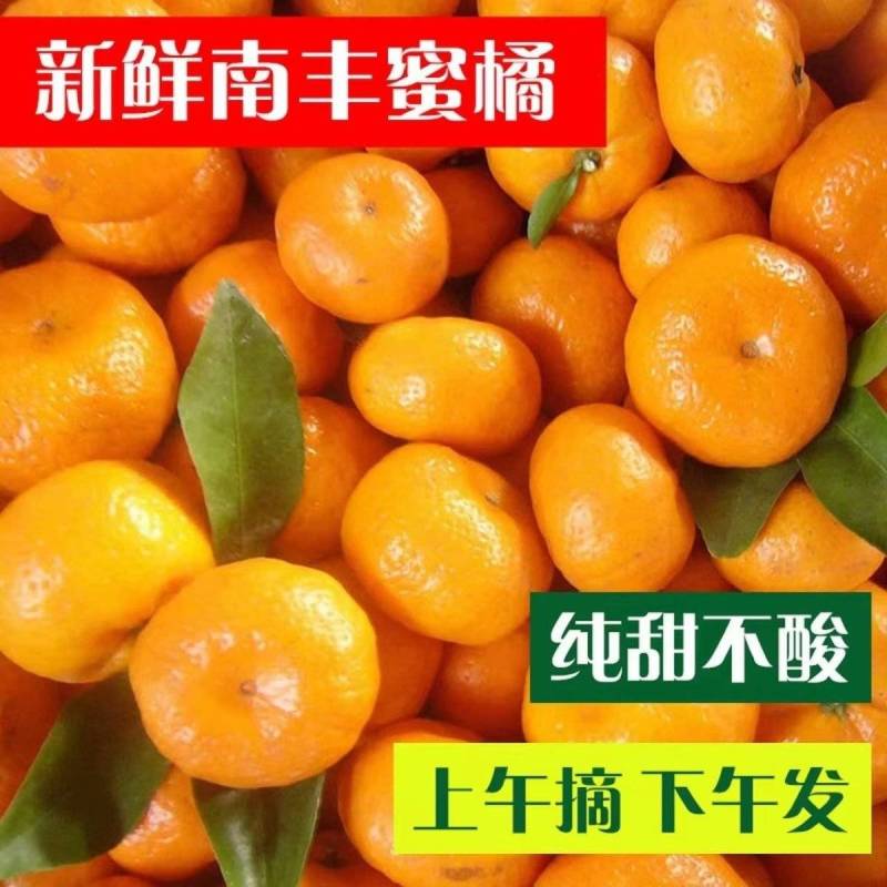 【畅销】南丰蜜橘可地头装车基地直发对接商超团购电商一条龙
