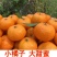 【畅销】南丰蜜橘可地头装车基地直发对接商超团购电商一条龙