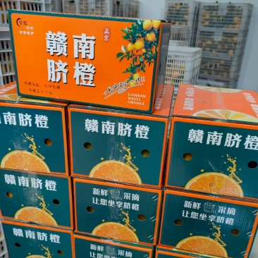 脐橙