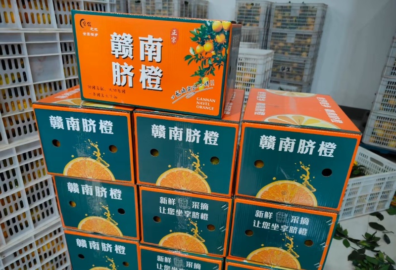 脐橙