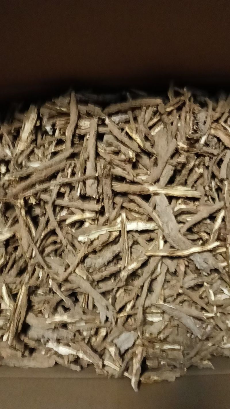 地骨皮