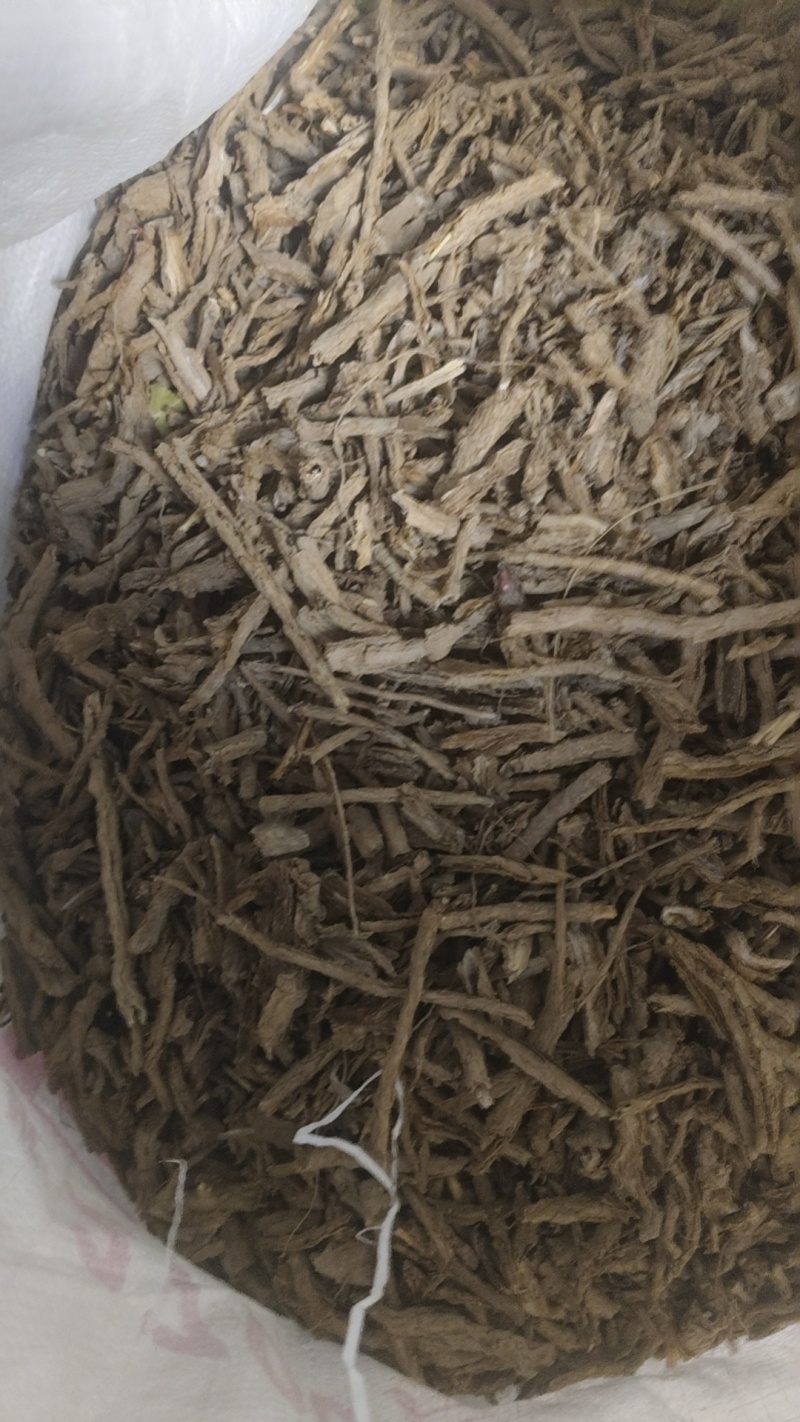 地骨皮