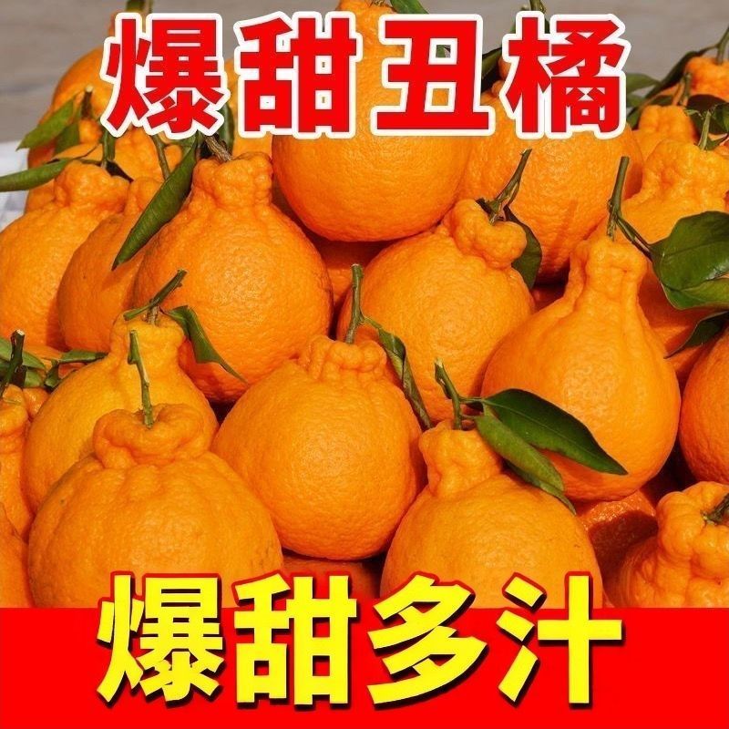 【畅销】假丑橘不知火基地直发保质保量可对接出口量大从优
