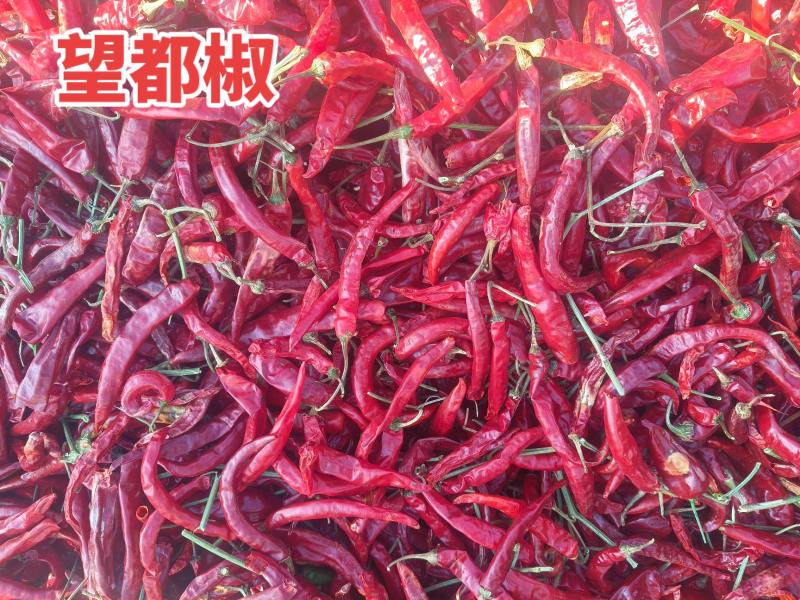 开鲁望都椒干椒