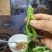 富硒油菜苔蔬菜叶菜油菜苔基地现摘现发价格实惠运输便利