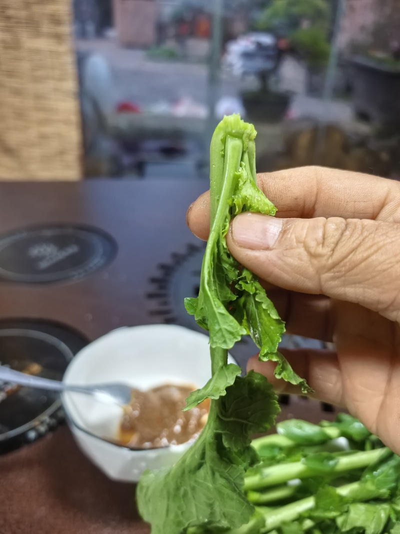 富硒油菜苔蔬菜叶菜油菜苔基地现摘现发价格实惠运输便利