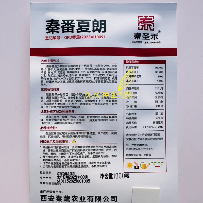 秦番夏朗番茄种子早熟无限生长型粉红番茄西红柿种籽
