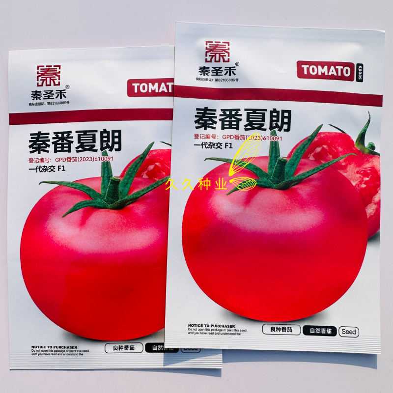秦番夏朗番茄种子早熟无限生长型粉红番茄西红柿种籽