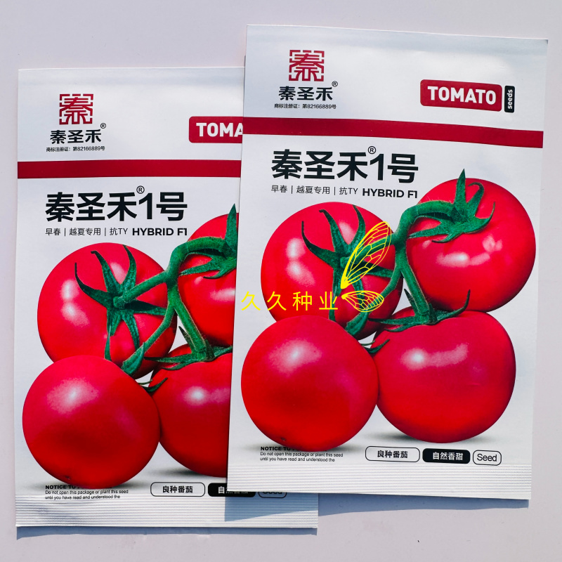 秦圣禾1号番茄种子早熟无限生长型大果大红番茄西红柿种籽