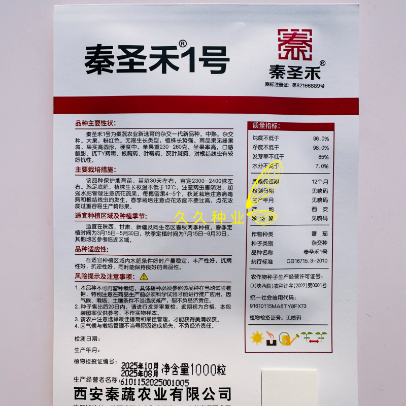 秦圣禾1号番茄种子早熟无限生长型大果大红番茄西红柿种籽