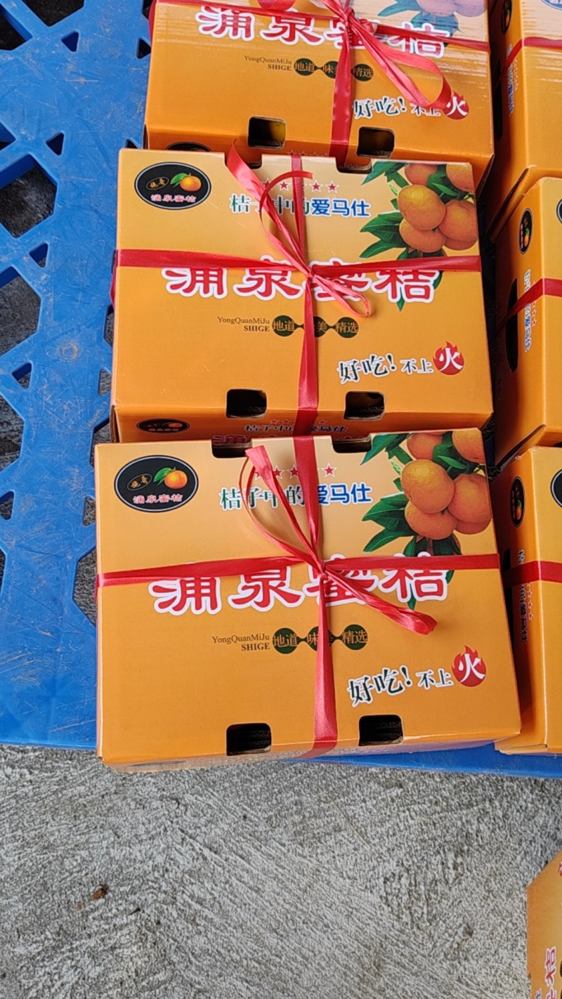 浙江台州涌泉蜜橘，找长期合作商，档口，摊位，