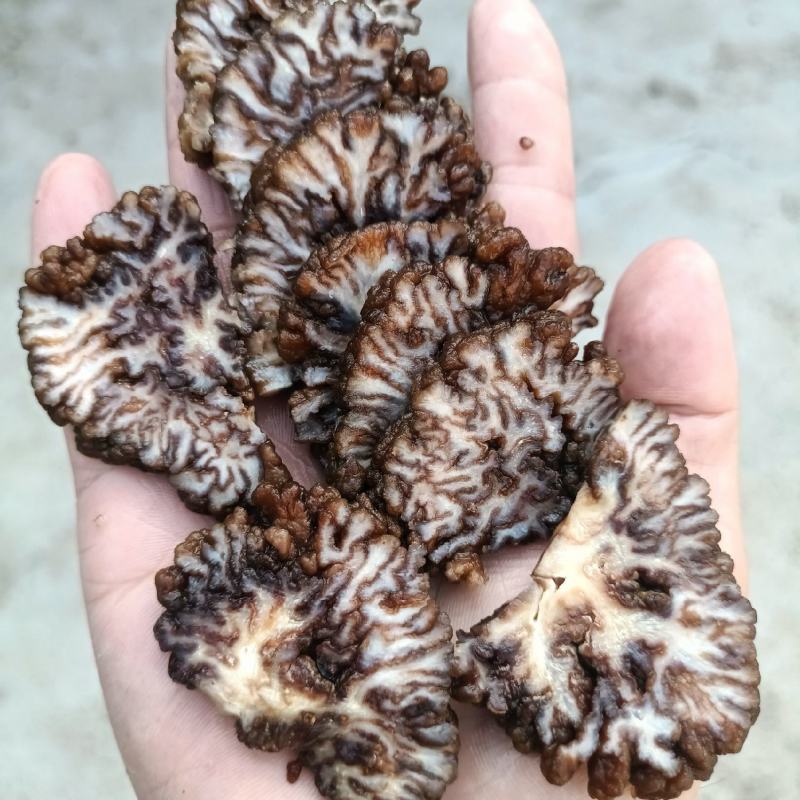 猴脑菌菌片核桃菌菌片玛咖菌菌片菌片花纹清晰品质好颜色菌片