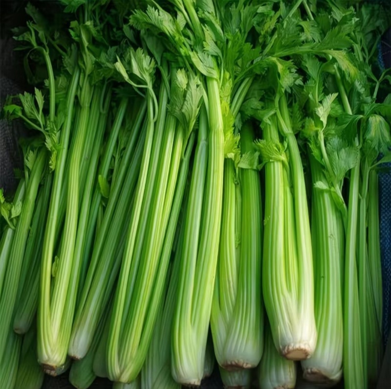 新鲜西芹