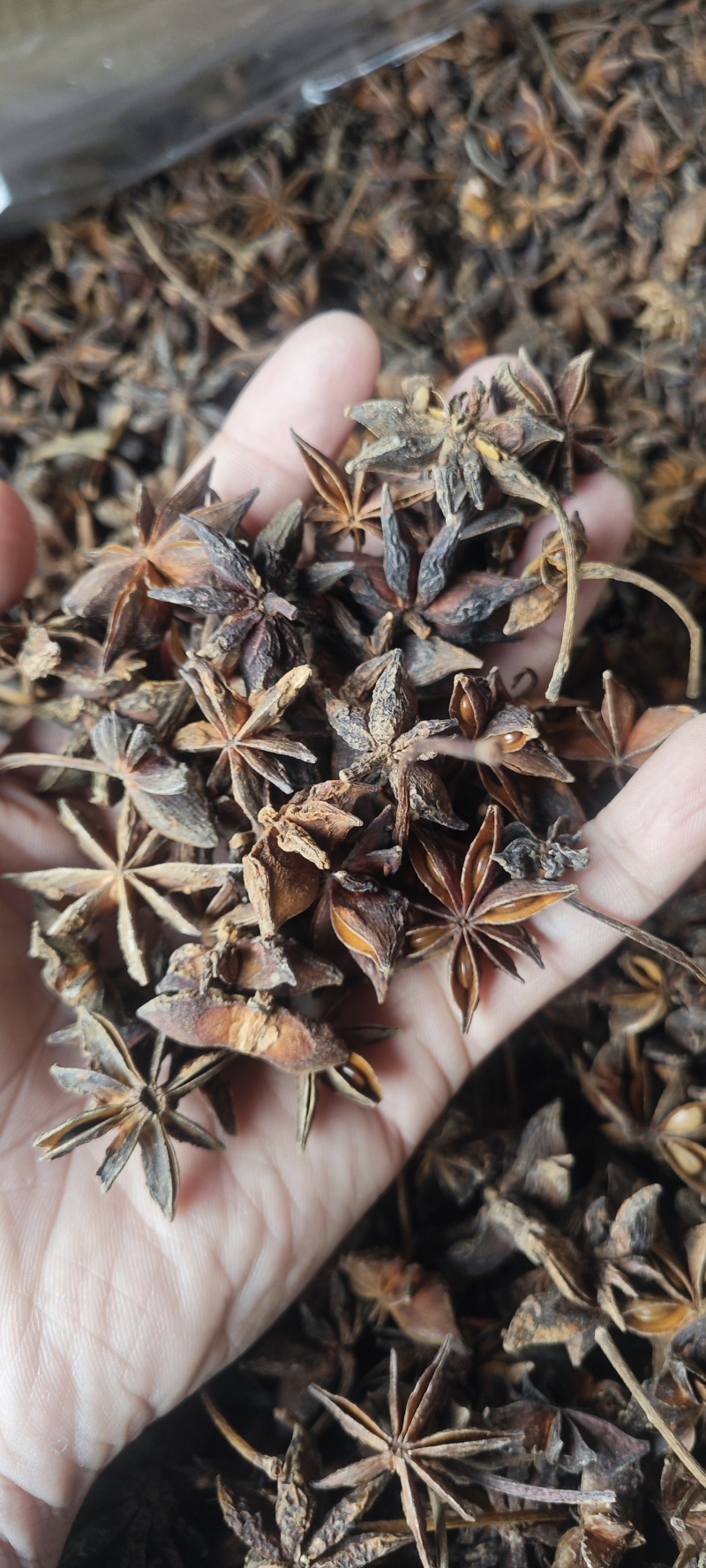 大红八角新货肉厚干度好香味大无硫干货批发