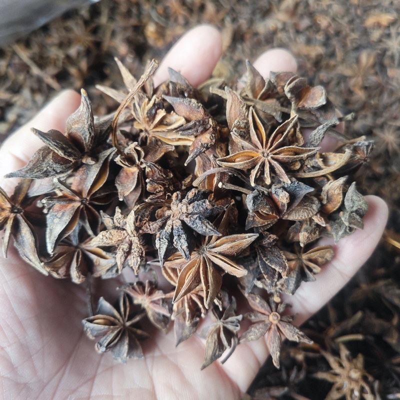 大红八角新货肉厚干度好香味大无硫干货批发