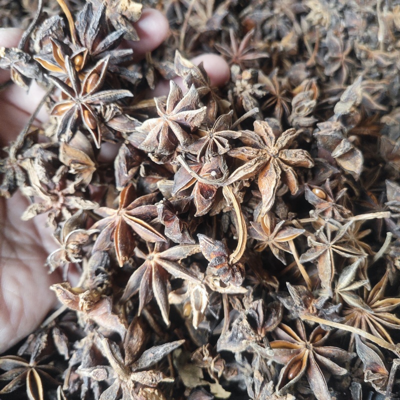 大红八角新货肉厚干度好香味大无硫干货批发