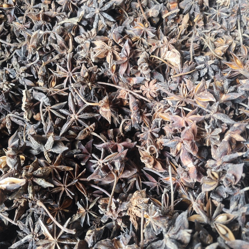 大红八角新货肉厚干度好香味大无硫干货批发