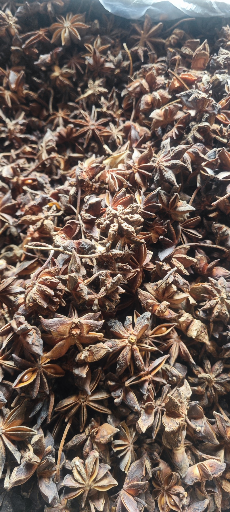 大红八角新货肉厚干度好香味大无硫干货批发