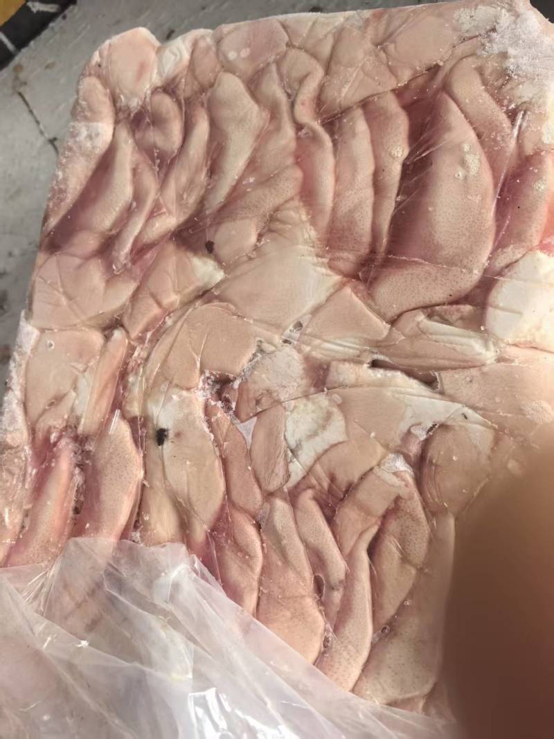 母猪耳朵，5吨货