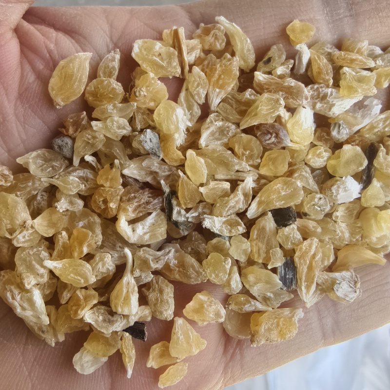 薤白薤白新货地道药材过筛干净紫轩堂药业
