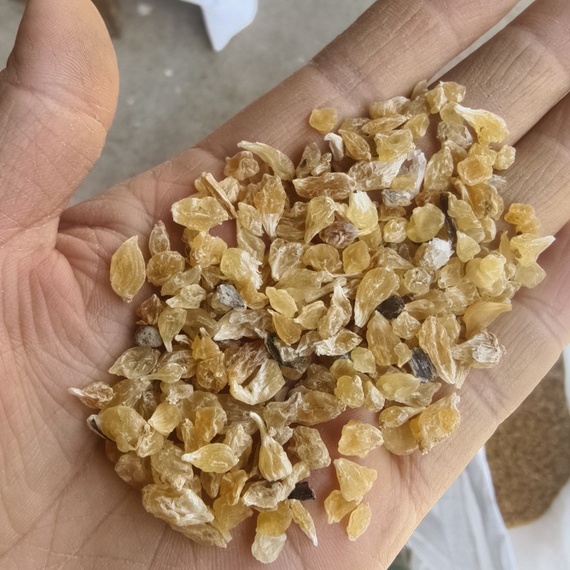 薤白薤白新货地道药材过筛干净紫轩堂药业