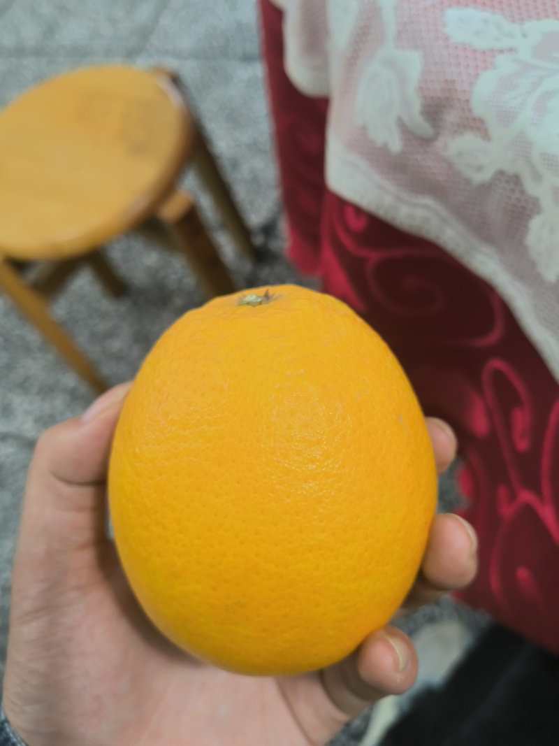 宜昌纽荷尔脐橙
