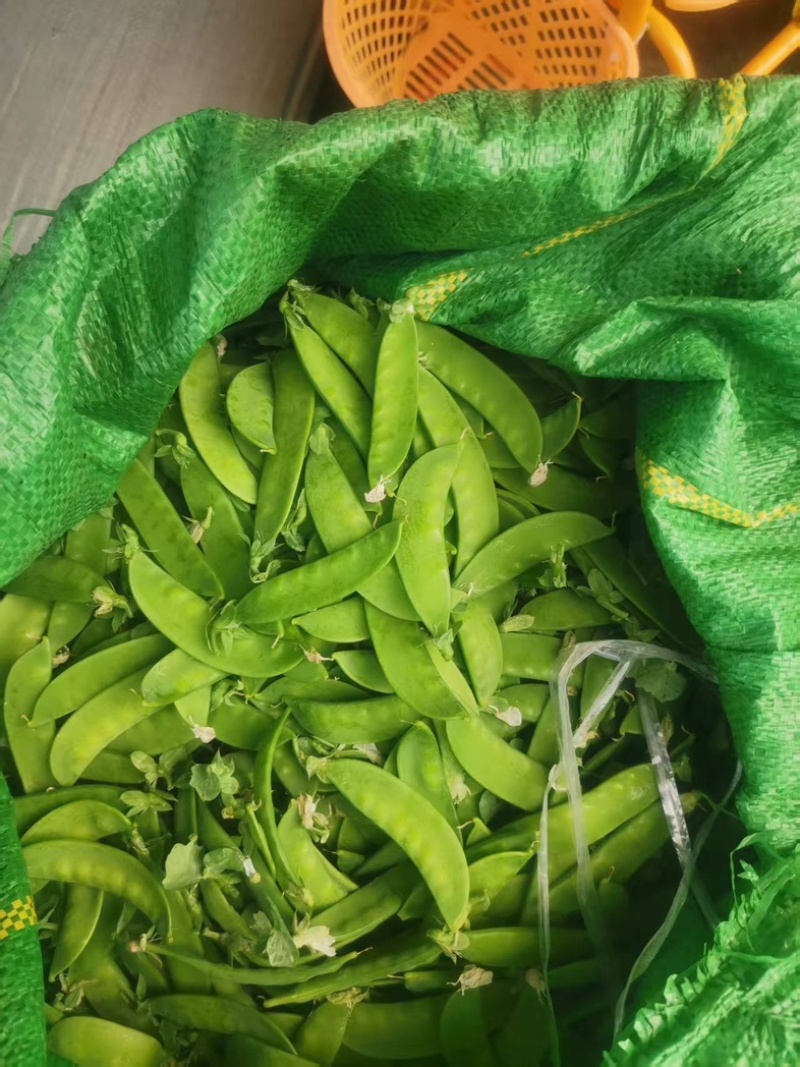 荷兰豆
