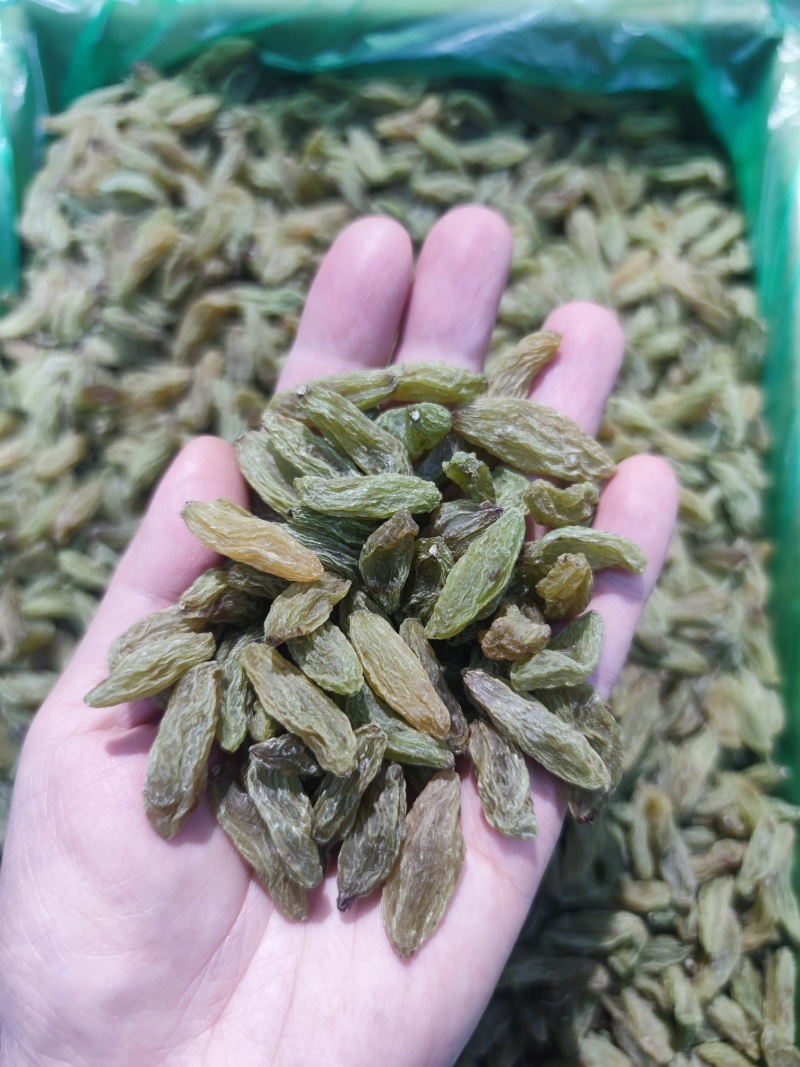 新疆葡萄干绿香妃北京王免洗无核，干度好颗粒饱满均匀！