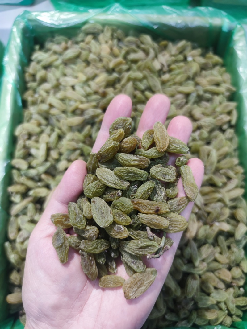 新疆葡萄干绿香妃北京王免洗无核，干度好颗粒饱满均匀！
