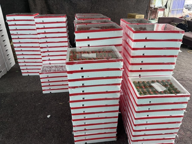 产地现货，价格回落，已上市，量大，欢迎采购