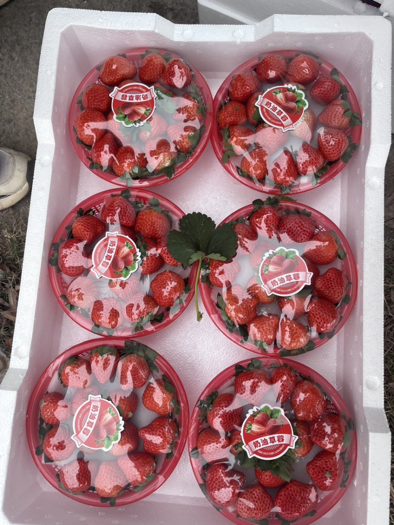 产地现货，价格回落，已上市，量大，欢迎采购