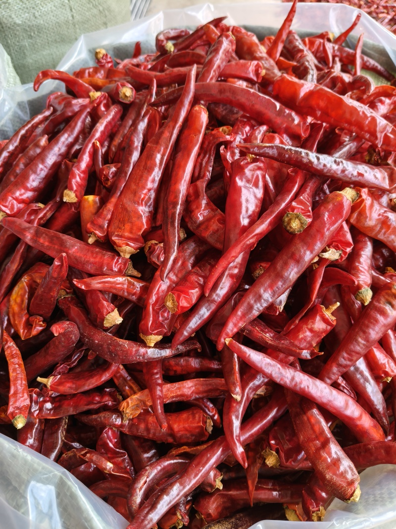 本地大辣椒（牛角椒），长年有货，精挑细选，保质保量