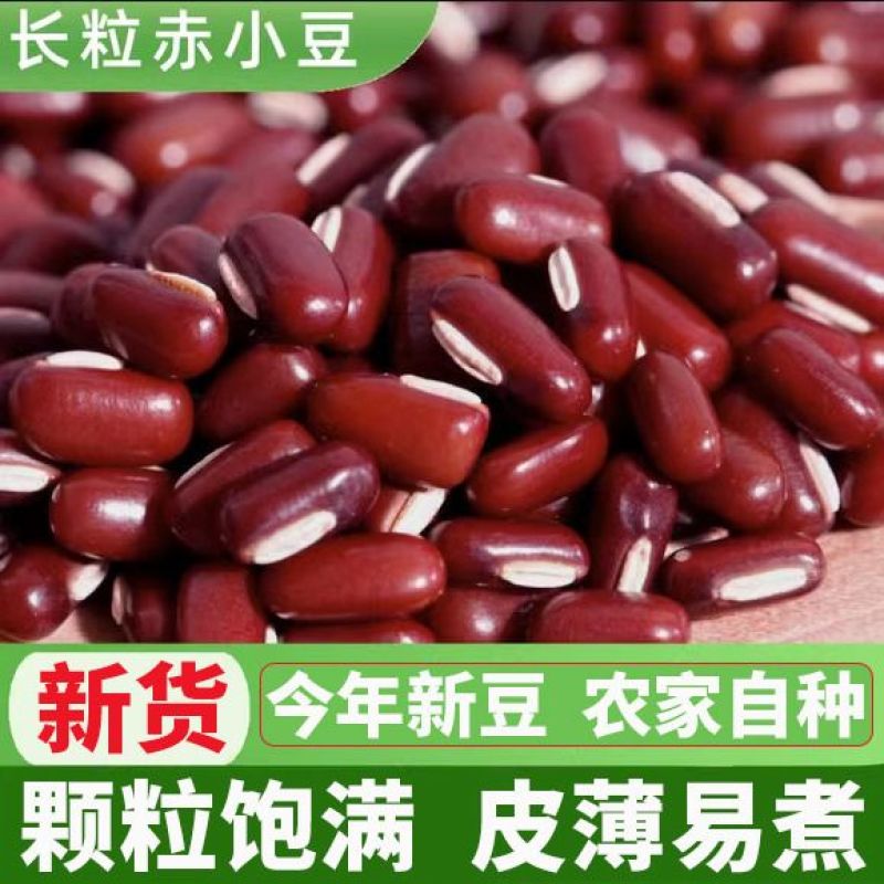 【批发】新货赤小豆2025长粒红赤豆五谷杂粮批发