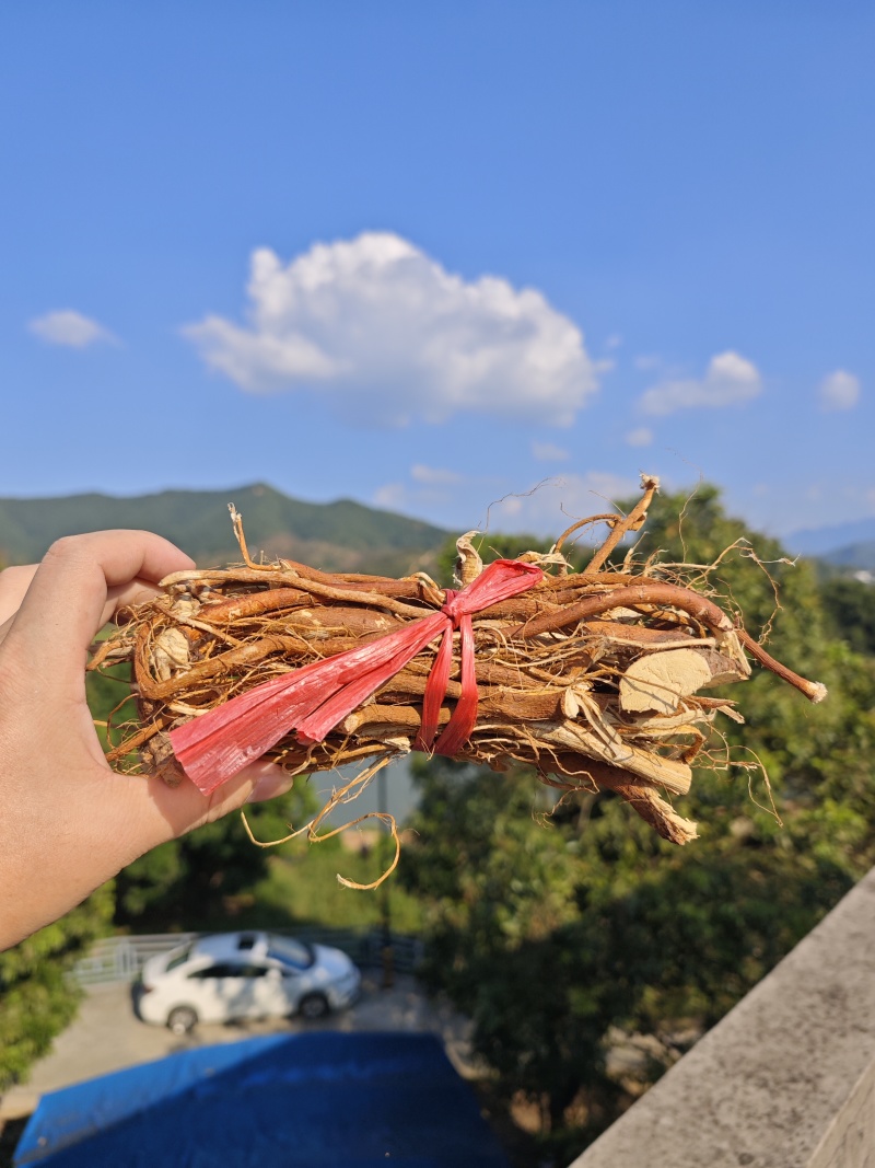 野生五指毛桃(正常捆扎)也可以砍小块