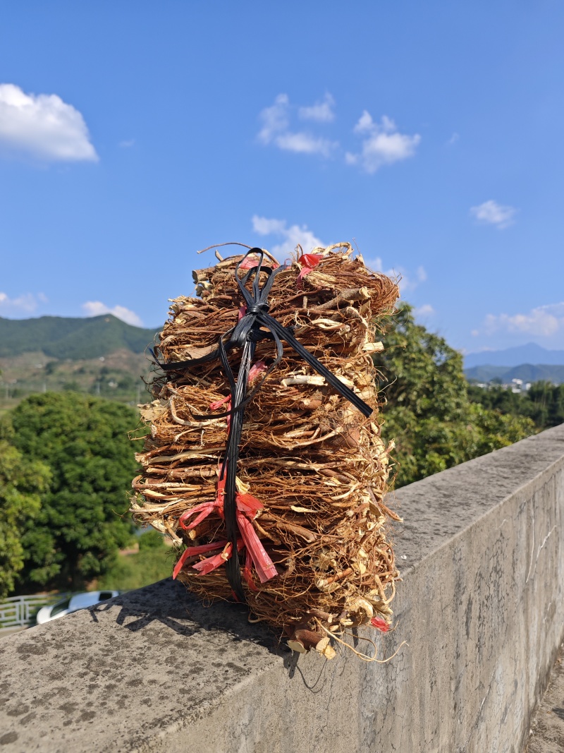 野生五指毛桃(正常捆扎)也可以砍小块