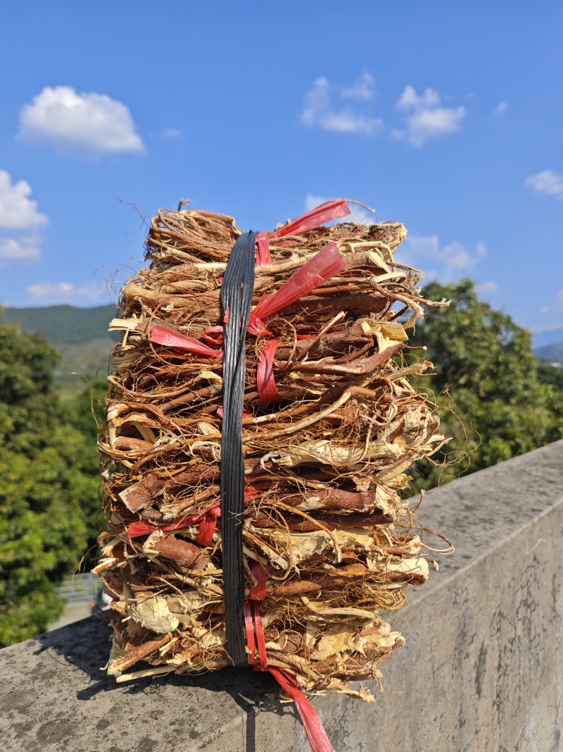 野生五指毛桃(正常捆扎)也可以砍小块