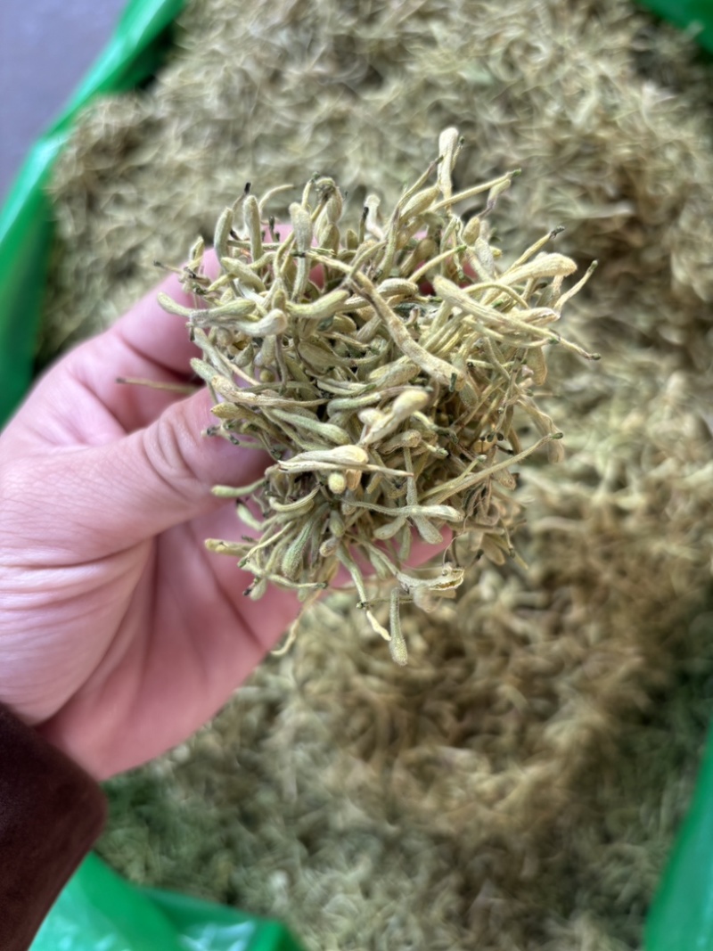 金银花源头好货产地直发量大从优质量保证货真价实假一赔十