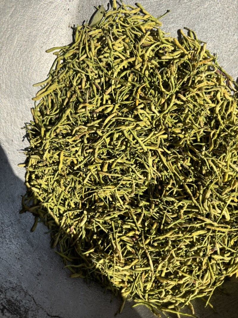 金银花源头好货产地直发量大从优质量保证货真价实假一赔十