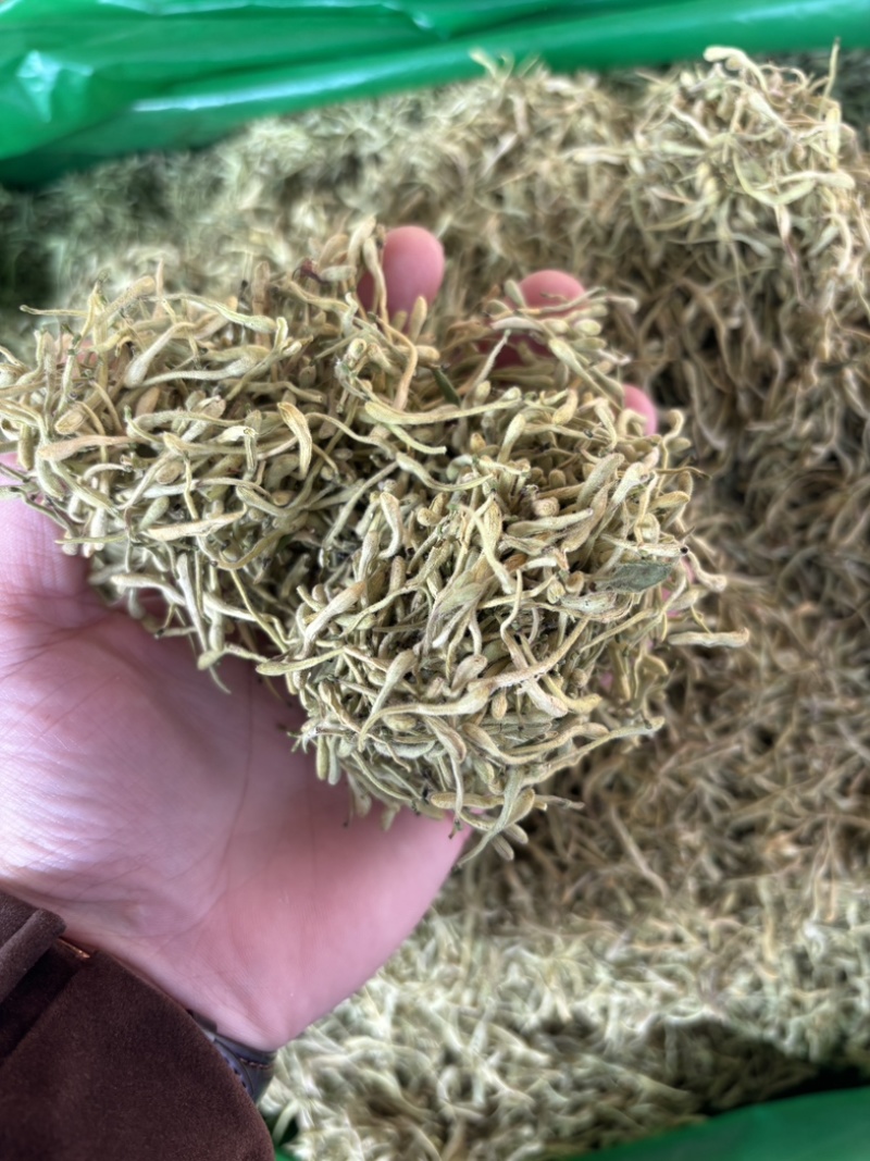 金银花源头好货产地直发量大从优质量保证货真价实假一赔十